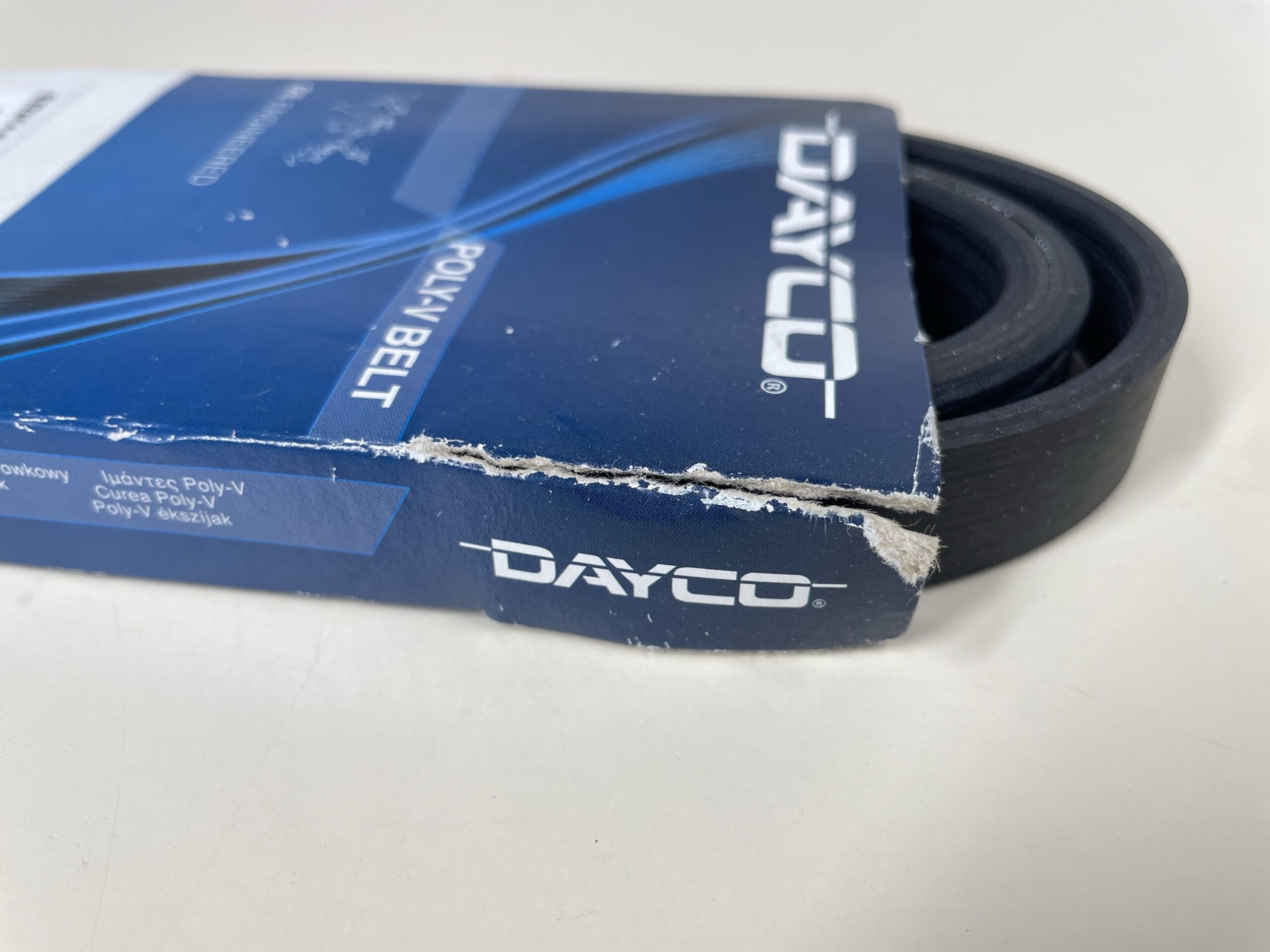 2e2de8ae-a35c-40d7-a2b2-553de7d5466f-4915-0000033ded928295_file