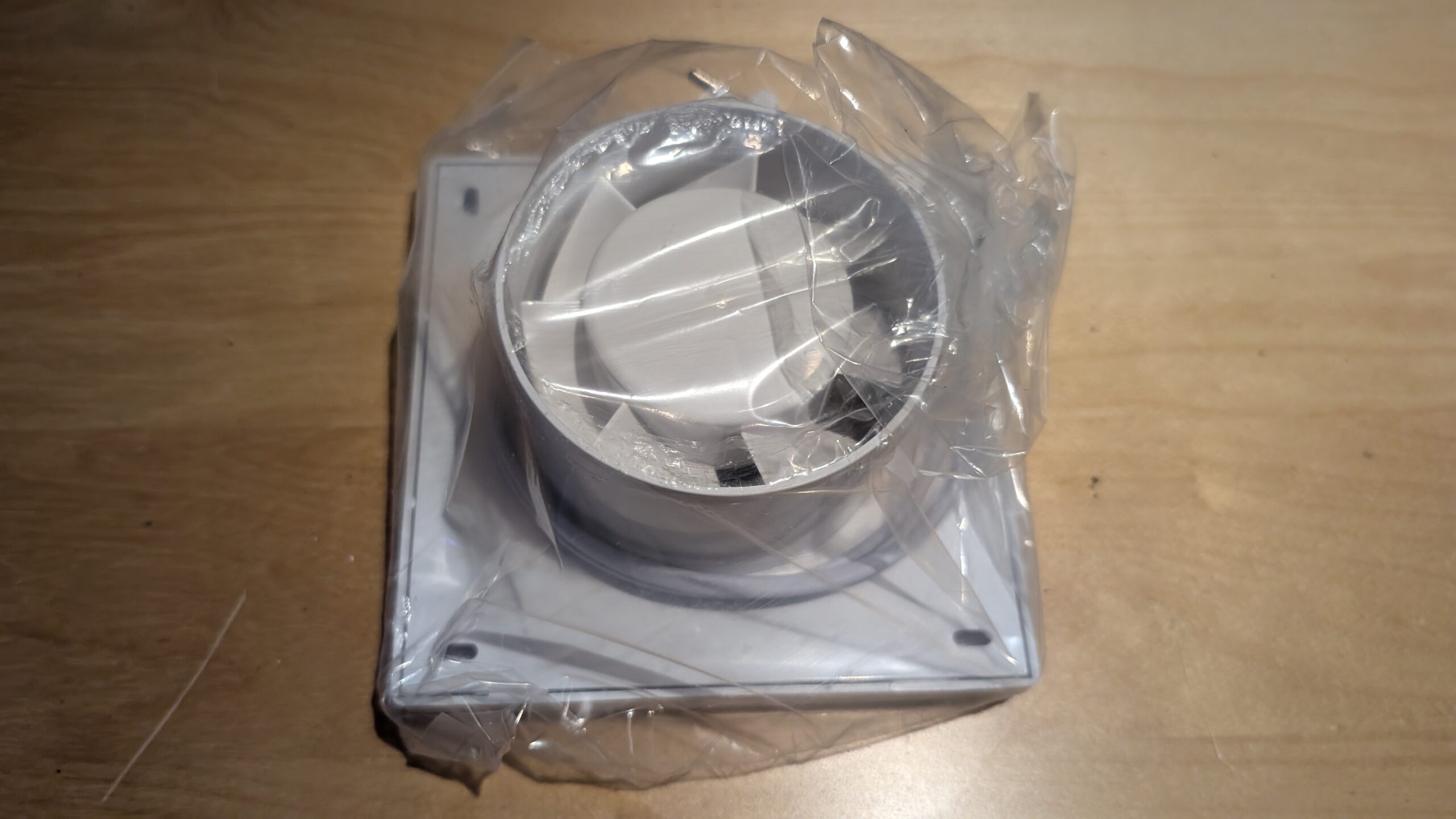 PXL_20251010_124547058