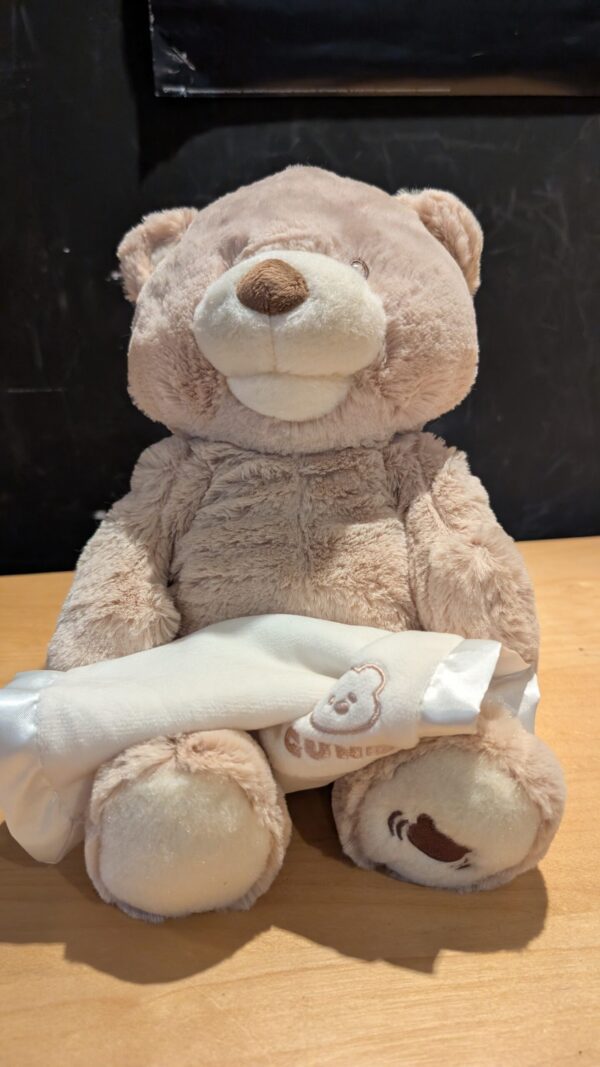 PXL_20251020_114021202.MP