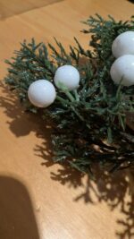 PXL_20251028_124918672.MP