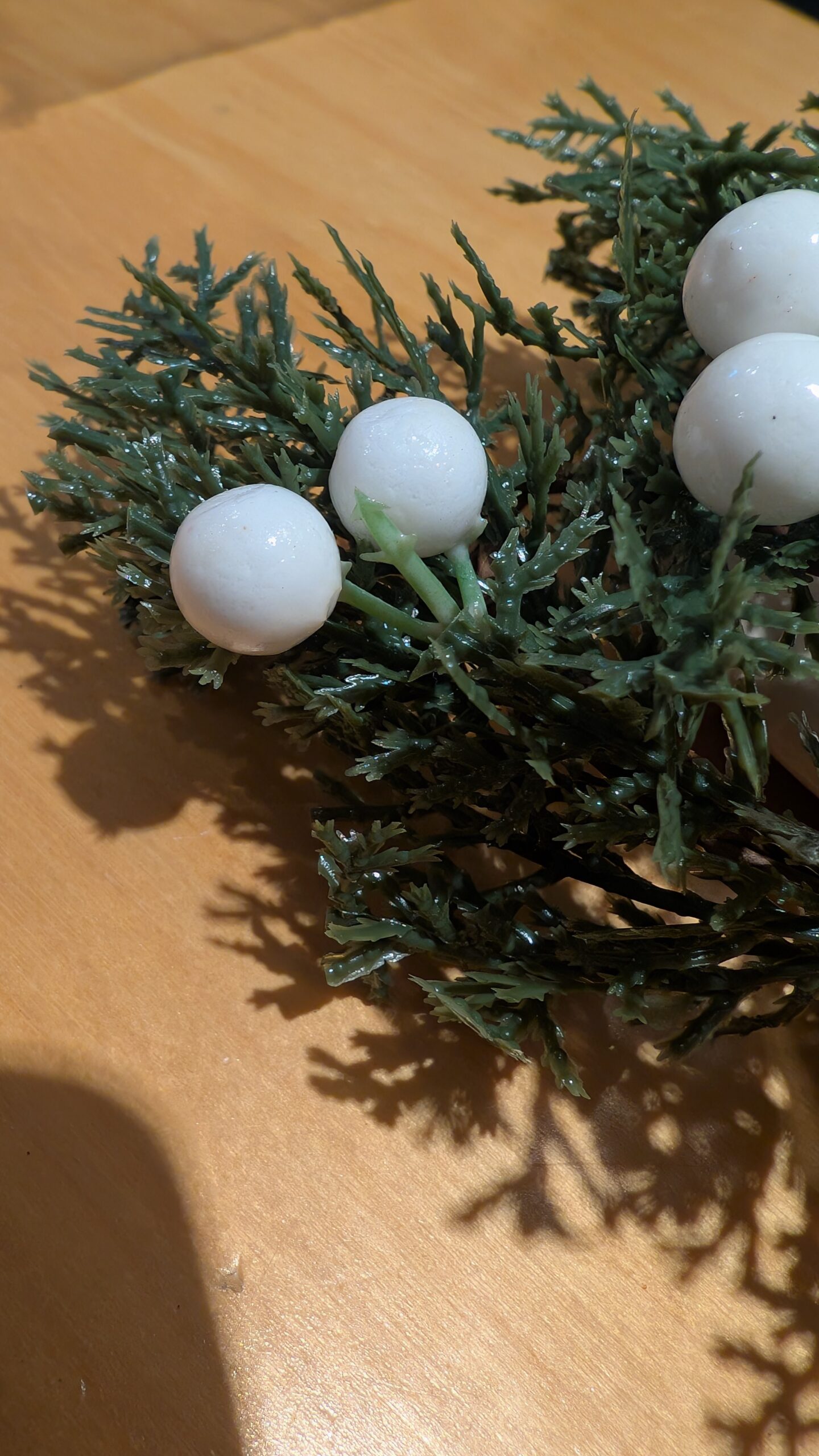 PXL_20251028_124918672.MP