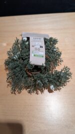 PXL_20251028_124923801