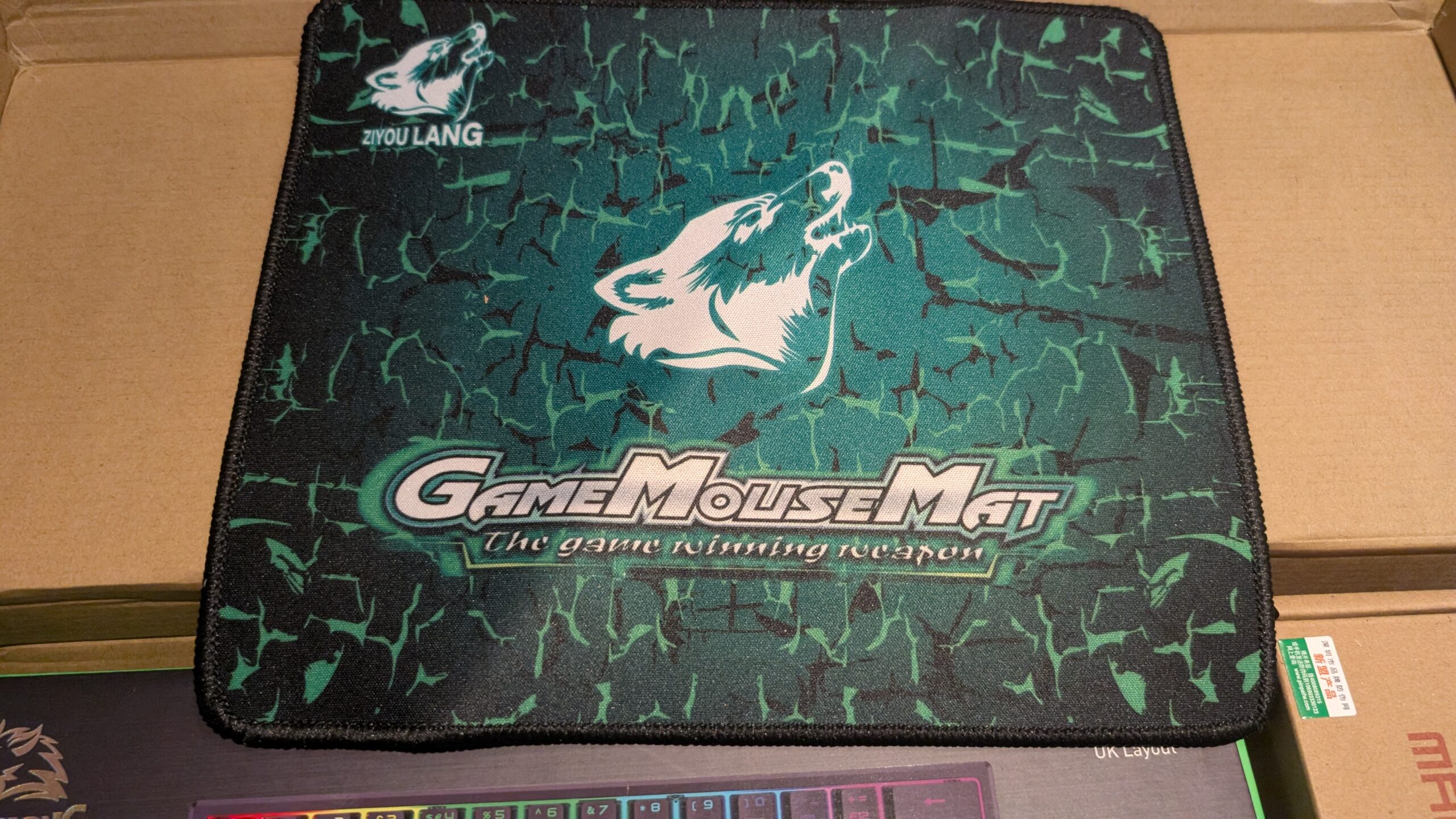 PXL_20251030_214849078