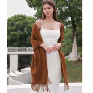 Pashmina Shawl Wrap Women's Wedding Winter Scarf – Brown