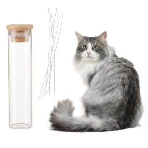 Cat Whisker Jar Glass Collector Keepsake Vial – Transparent